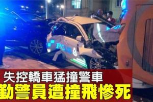 警員盤查取締巴士,遭失控轎車撞飛致死