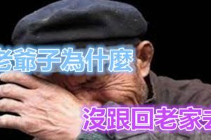 老爺子為什麼沒跟回老家去？