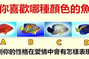 你喜歡哪種顏色的魚,測你的性格在愛情中會有怎樣表現