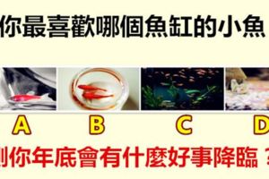 你最喜歡哪個魚缸的小魚，測你年底會有什麼好事降臨？