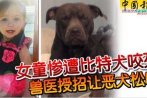 女童慘遭比特犬咬死獸醫授招讓惡犬鬆口