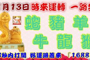 11月13日時來運轉一路發，蛇豬羊牛龍猴，88秒內打開，好運跟著來『16888』