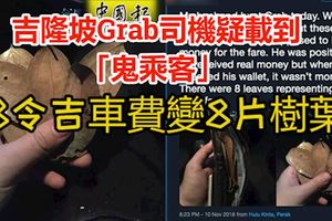 吉隆坡Grab司機疑載到「鬼乘客」，8令吉車費變8片樹葉