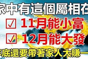 家有這個生肖在，11月小富，12月大發，年底帶著家人大賺一筆的是你嗎