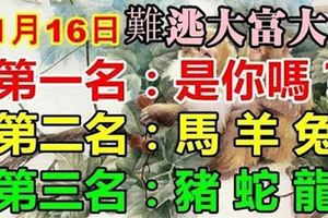 12生肖，誰「11月16日」難逃大富大貴？第1名有錢有勢，有車有房！