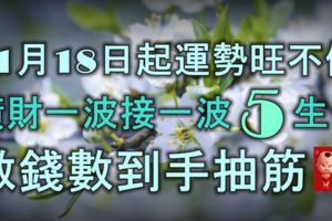 11月18日起運勢旺不停，橫財一波接一波的5生肖，數錢數到手抽筋！