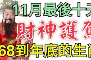 11月最後十天財神護駕，一路發【168】財到年底的生肖！