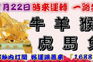 11月22日時來運轉一路發，牛羊猴虎馬兔，88秒內打開，好運跟著來『16888』