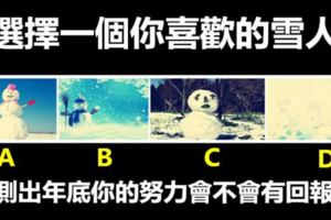 選擇一個你喜歡的雪人，測出年底你的努力會不會有回報