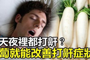 老公每天夜裡都「打鼾」讓你忍無可忍了？別擔心，一個「蘿蔔」就能很好地改善他夜裡打鼾的症狀！