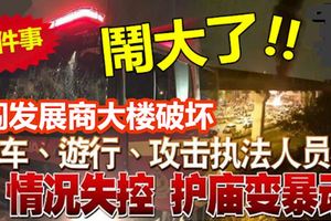 興都廟騷亂事件風波越演越烈，闖發展商大樓破壞燒車、遊行、攻擊執法人員！