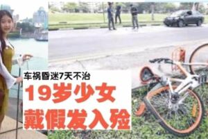 騎共享腳車上班被撞女子搶救逾周不治