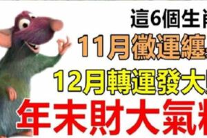 年末財大氣粗！這6個生肖，11月黴運纏身，12月轉運發大財！