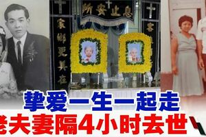 恩愛老夫妻相隔4小時安祥離世