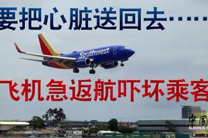 「要把心髒送回去……」飛機急返航嚇壞乘客