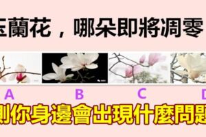 4朵玉蘭花，哪朵即將凋零？測你身邊會出現什麼問題