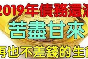 2019年，債務還清，苦盡甘來的4個生肖