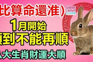 比算命還准，1月開始順到不能再順，八大生肖財運大順