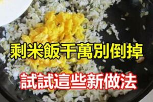 剩米飯千萬別倒掉試試這些新做法，吃了還想吃，值得收藏