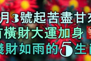 1月3號起，苦盡甘來，有橫財大運加身，錢財如雨的5大生肖！