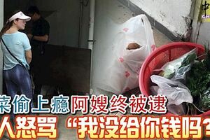 偷菜偷上癮，阿嫂終被逮！親人怒罵「我沒給你錢嗎？」