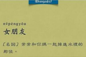 「唯一說真話的字典」網路爆紅　超寫實字詞新定義讓大家都笑跪了