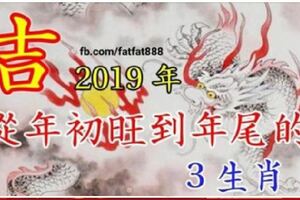 2019年吉星入命財神駕到，從年初旺到年尾的三大生肖！