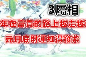 元月底財運紅得發紫的3屬相，豬年在富貴的路上越走越遠