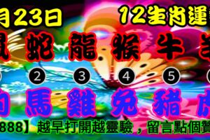 2019年1月23日，星期三農歷臘月十八（戊戌年乙丑月庚申日）