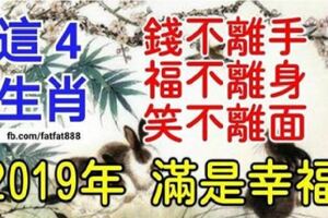 這4生肖的2019年滿是幸福，錢不離手，福不離身，笑不離面