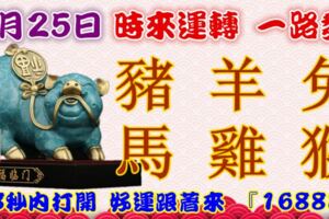 1月25日時來運轉一路發，豬羊兔馬雞猴，88秒內打開，好運跟著來『16888』