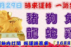 1月29日時來運轉一路發，豬狗兔龍蛇雞，88秒內打開，好運跟著來『16888』