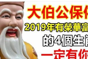 四大生肖，2019年榮華富貴享不盡。