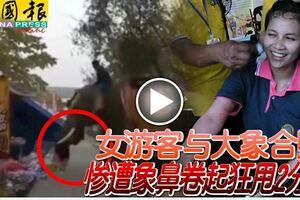 女遊客與大象合照慘遭象鼻捲起狂甩2分鐘