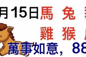 2月15日生肖運勢_馬、兔、豬大吉