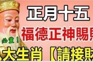 正月十五，福德正神賜福，八大生肖【請接財】，再不來就飛去別人家了