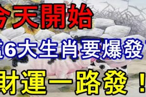 這6大生肖要爆發了，今天開始財運一路發！