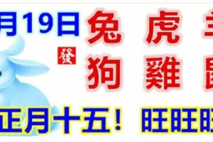 2月19日生肖運勢_兔、虎、羊大吉