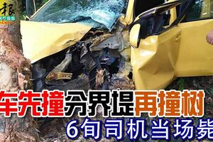 轎車先撞分界堤再撞樹6旬司機當場斃命