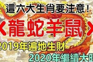 2019年遍地生財，2020年繼續大旺的六大生肖