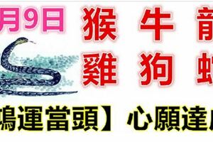 3月9日生肖運勢_猴、牛、龍大吉