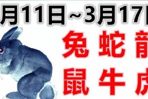 12生肖一周運勢（3月11日~3月17日）