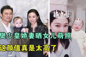 樊少皇嬌妻曬女兒萌照，超高顏值宛如可愛小精靈