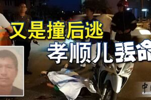 35歲華裔孝順兒今早獨自騎摩哆出門上班，途中疑遭一輛不明轎車撞後逃，當場命喪路中央。