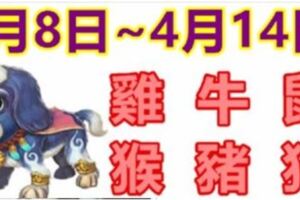 12生肖一周運勢（4月8日~4月14日）