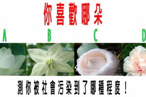 這4朵花，你喜歡哪朵？測你被社會污染到了哪種程度！