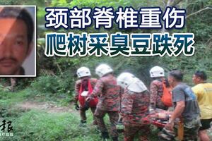 頸部脊椎重傷爬樹采臭豆跌死