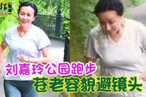 劉嘉玲公園跑步蒼老容貌避鏡頭！