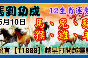 2019年5月10日，星期五，農歷四月初六（己亥年己巳月丁未日）