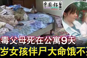 吸毒父母死在公寓9天2歲女孩伴屍大命餓不死